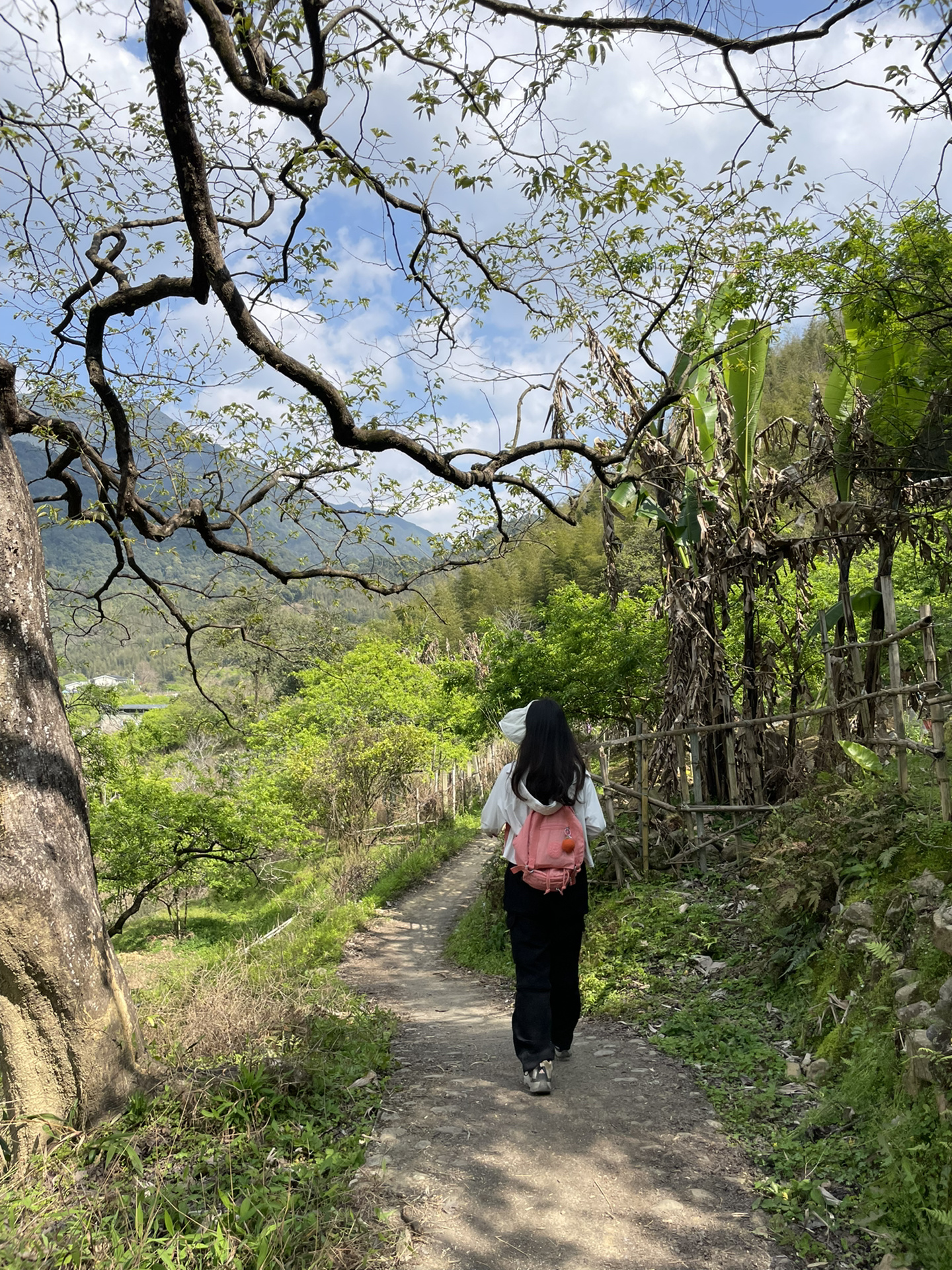 从化星溪线徒步