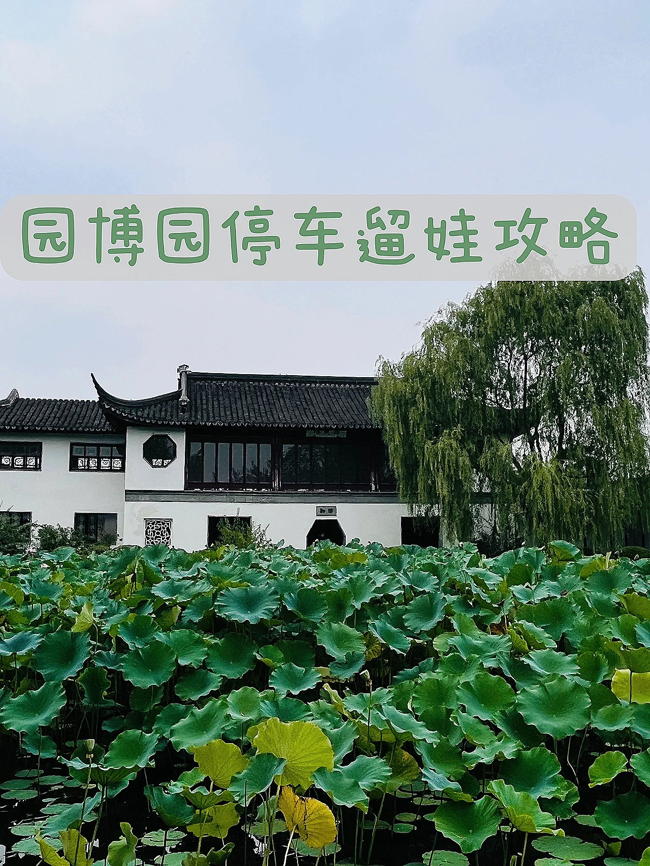 园博园这么遛娃最省力！