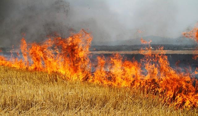 秸秆焚烧后续来了！江苏率先向专家开战，禁烧是不是一场闹剧！
江苏省农业厅的一位专
