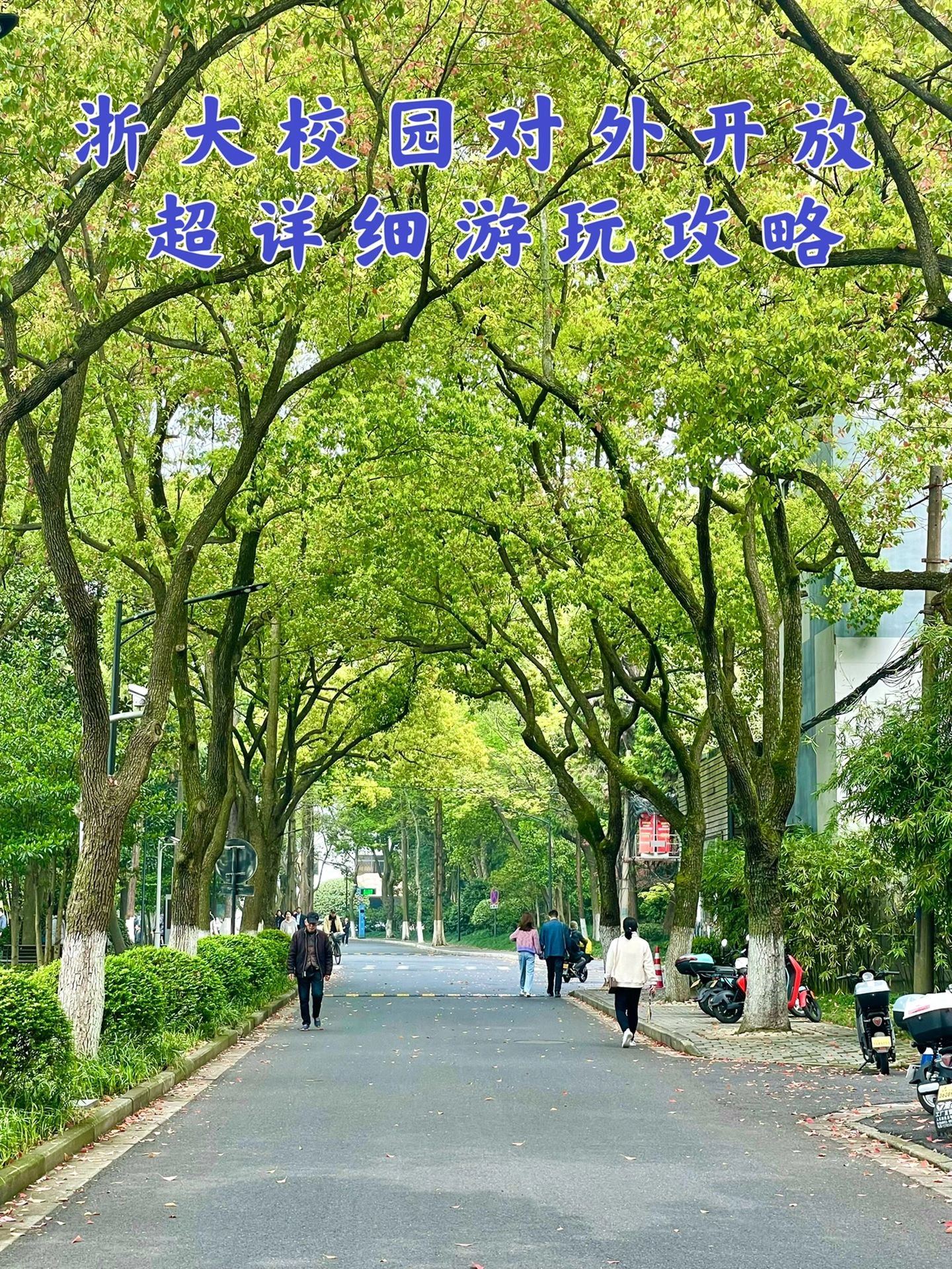逛小西湖，浙大校园对外开放啦🎈游玩攻略