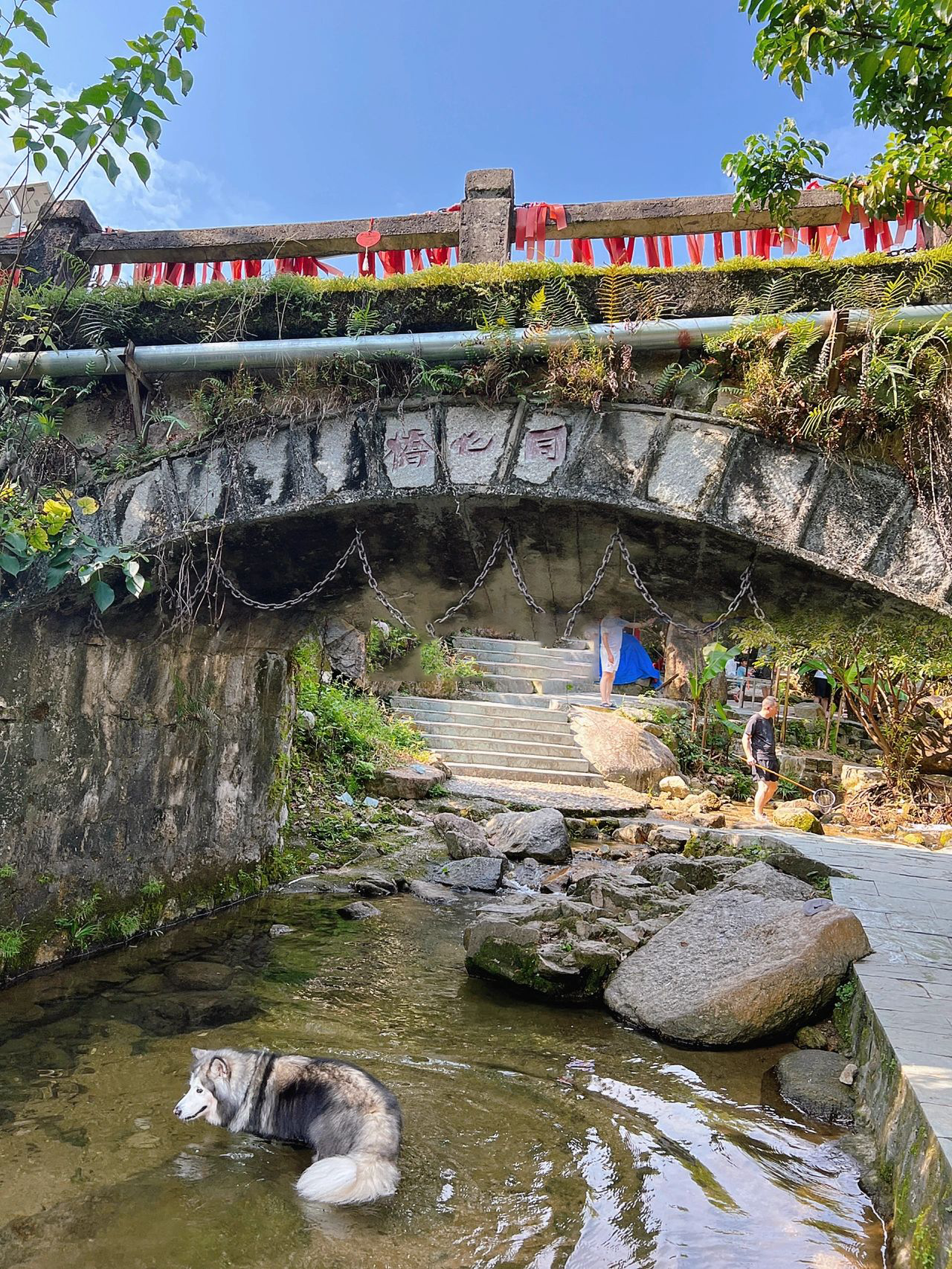 带狗周边游 |从化静修小镇登山溯溪休闲游