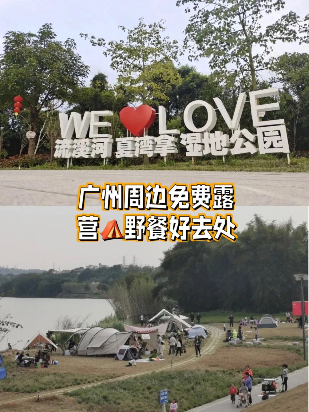 从化夏湾拿湿地公园免费露营⛺️野餐好去处