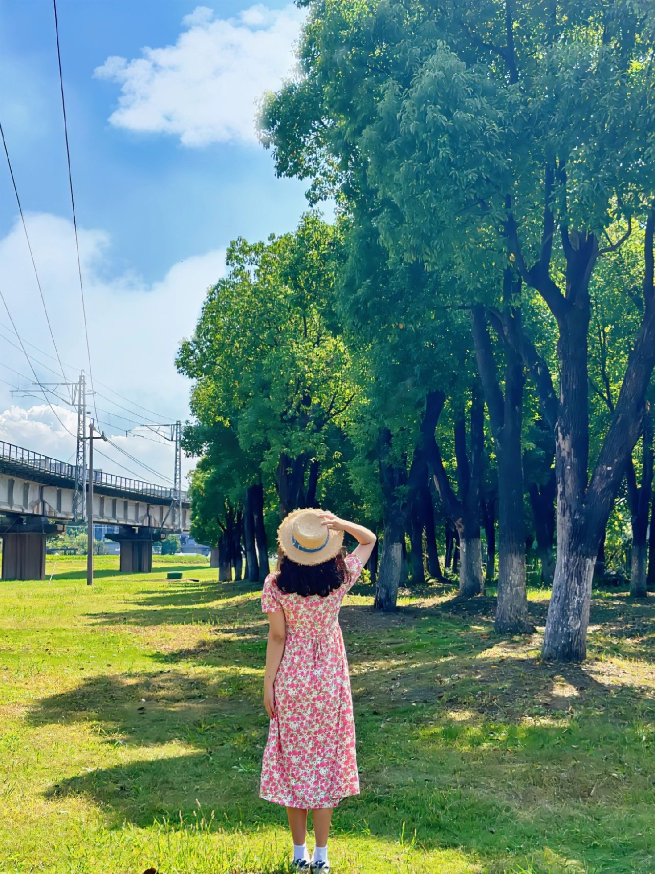 在杭州！不是新疆‼️免费去玩