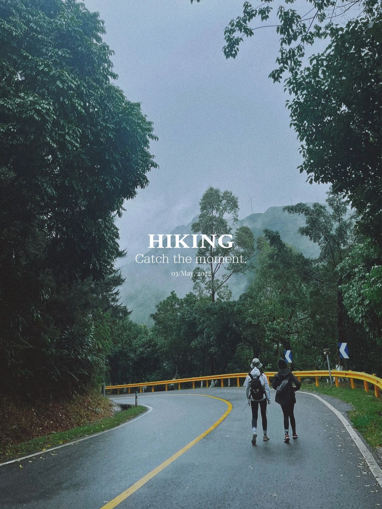 广州周边徒步| 迷雾森林+雨中魂穿象窝山