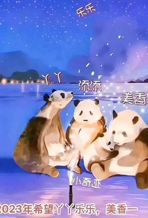 据说美香的娘家人是四川，丫丫的娘家是北动，丫丫最终能千辛万苦的回到家，就是娘家人