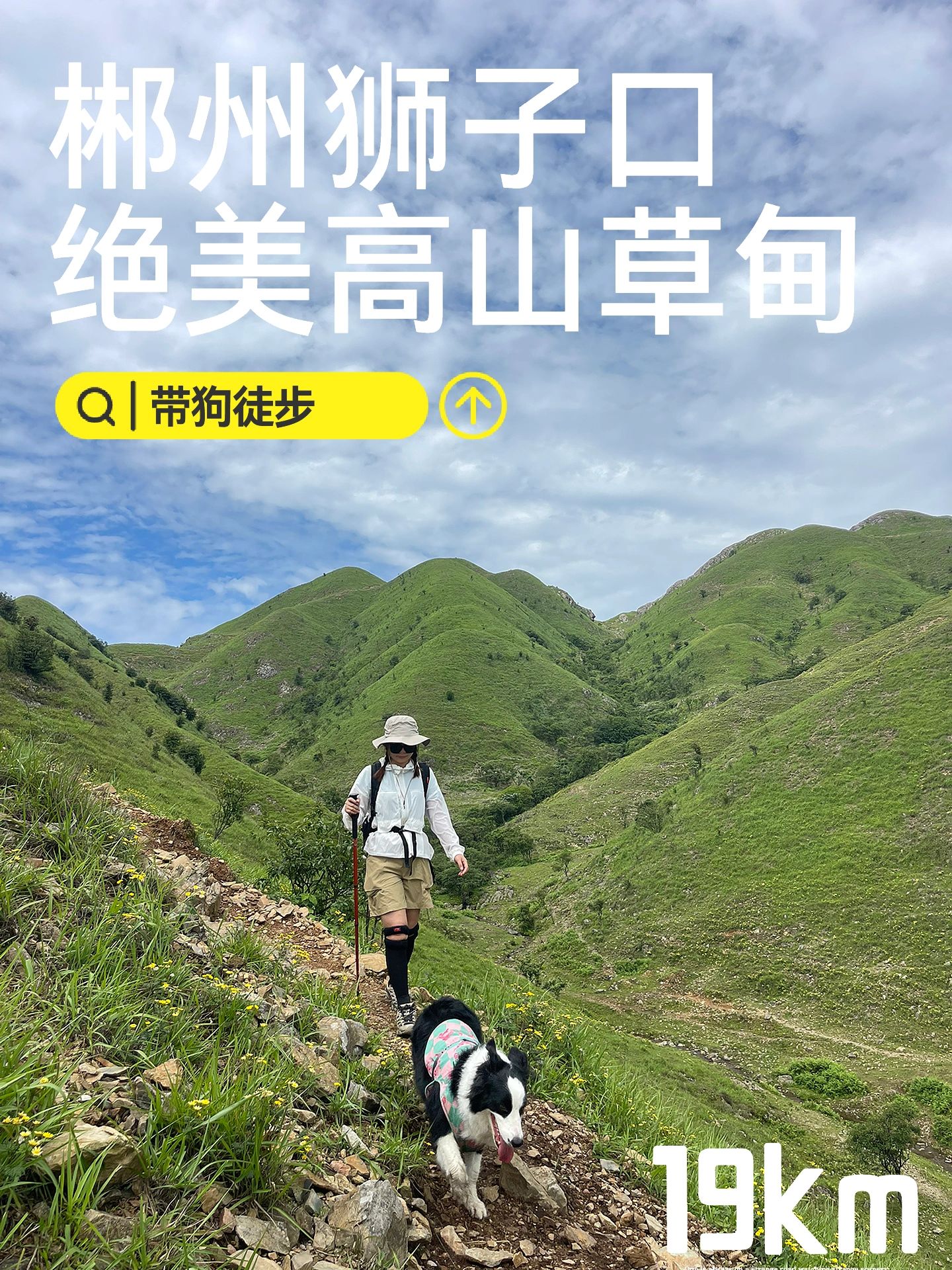 广州4h湖南小伊犁｜绝美高山草甸带狗徒步