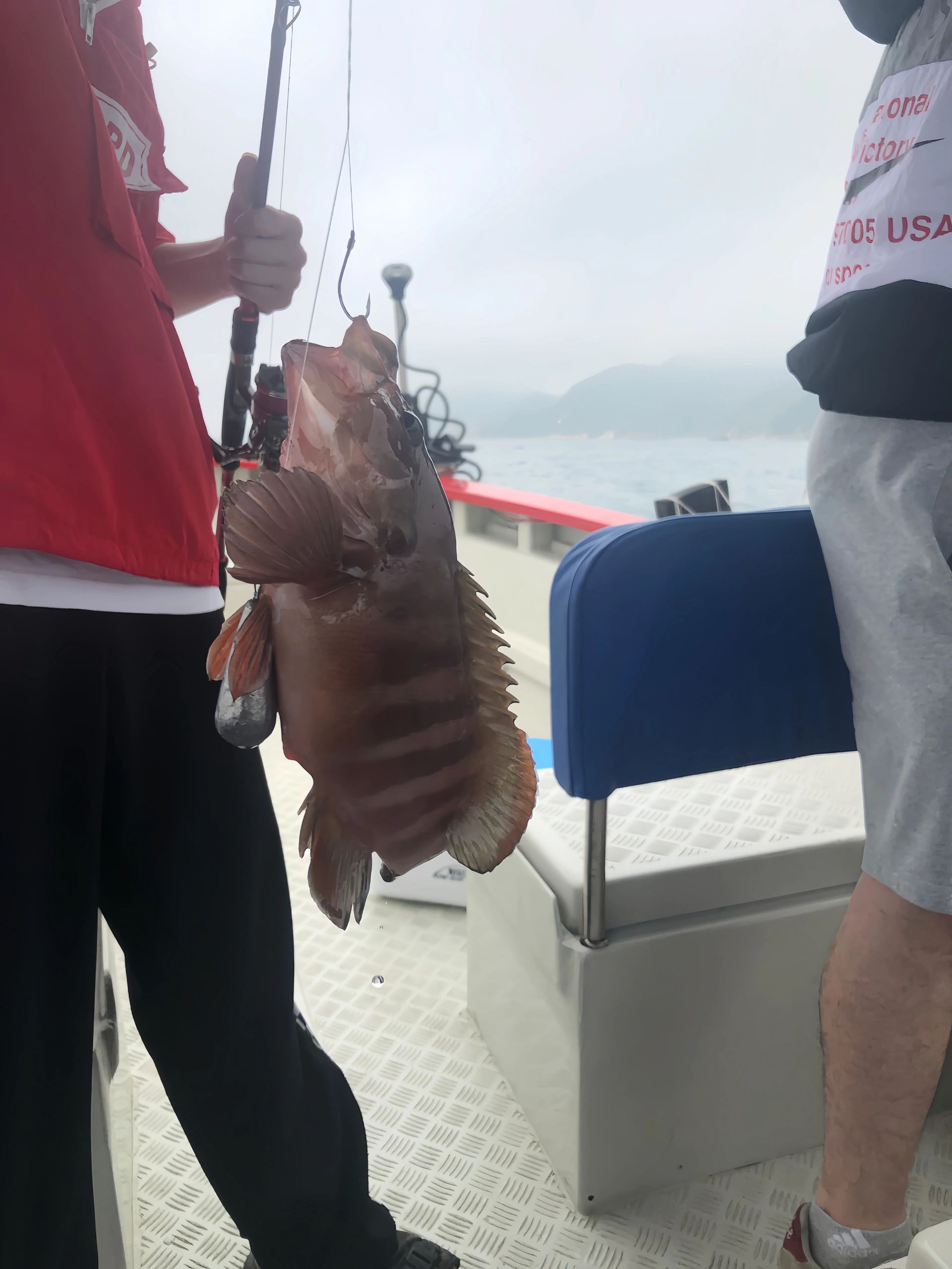 太优秀了/新手初次来海钓就钓这么多鱼