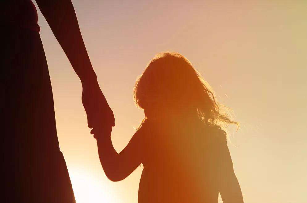 迷途归途，梦中的寻觅与爱的背负