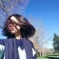 老王眼中的世界