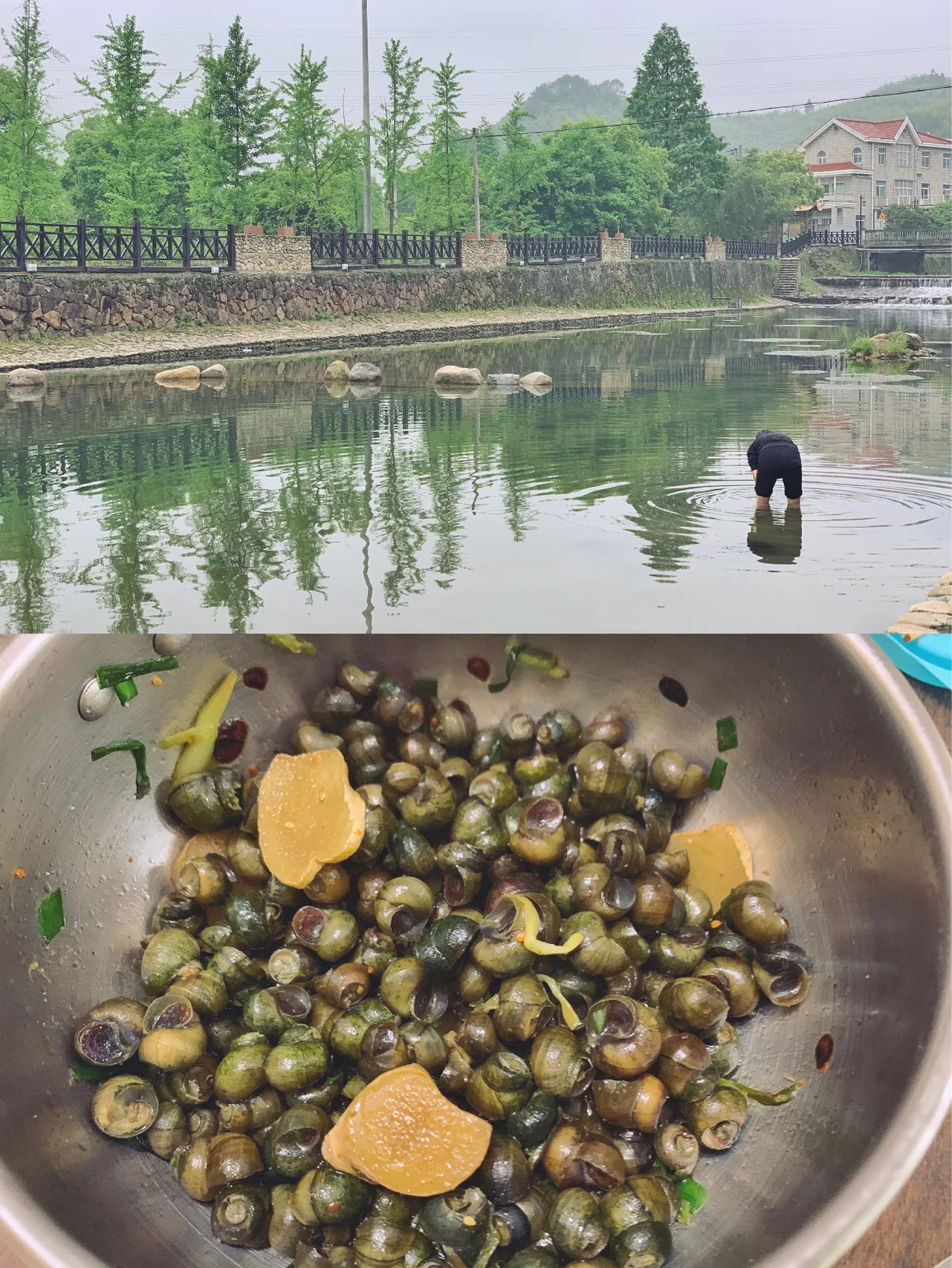 莫干山亲子游🌈3个童话般的免费遛娃地