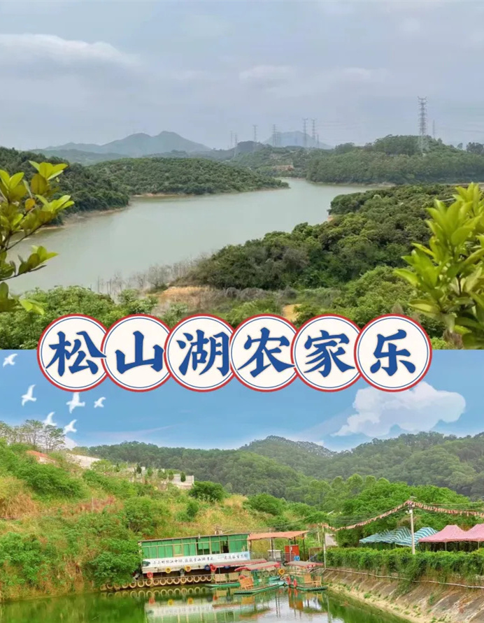 松山湖农家乐|可钓鱼可划船可野炊可烧烤