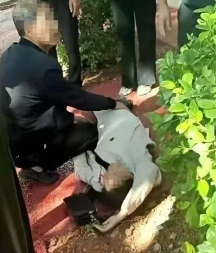 落入云南的那颗炮弹理论上能拦住，但实际上根本不可能拦住。理论上只要雷达能发现飞行