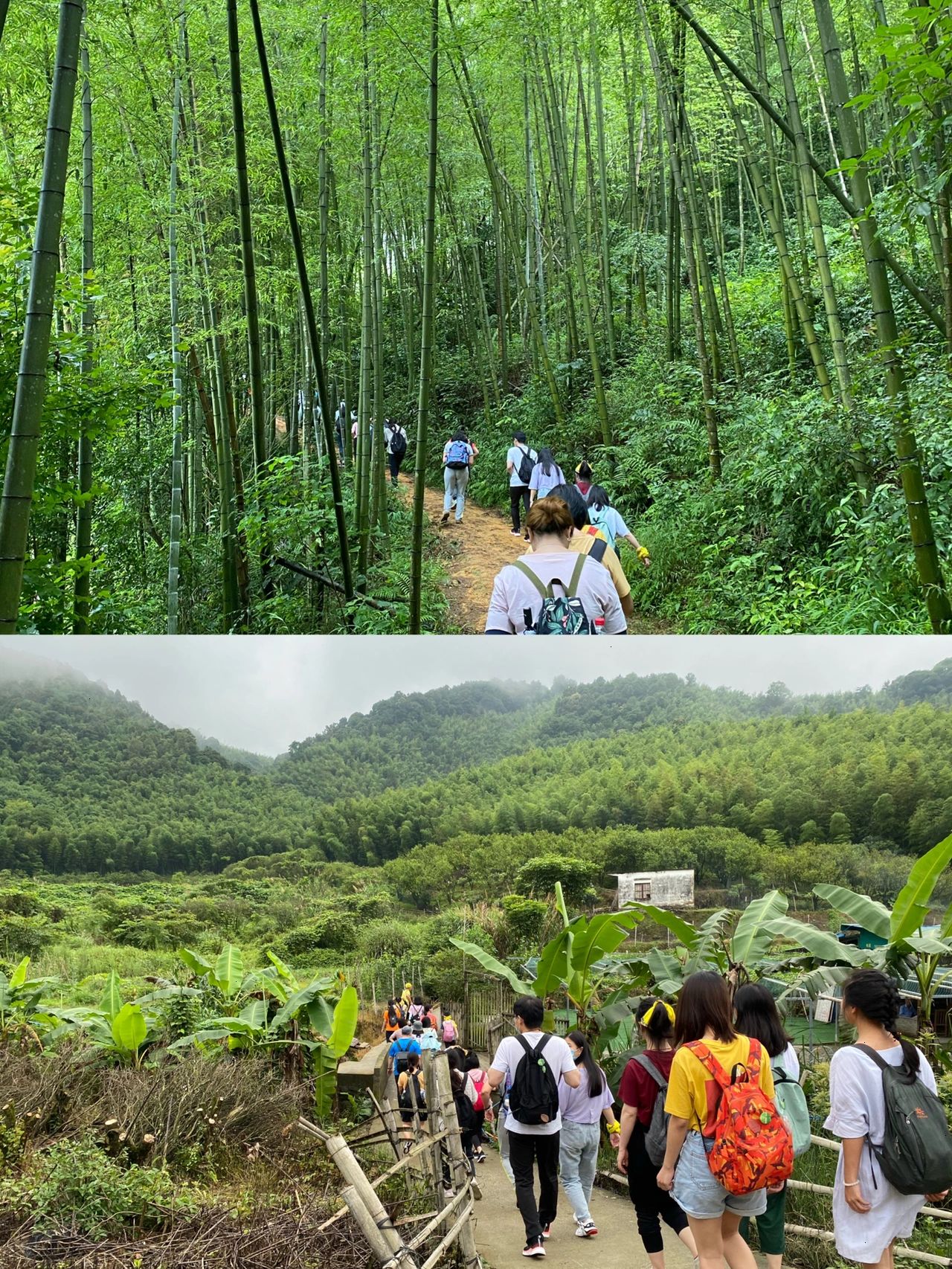 广州一年四季都绝美的徒步线路，非它莫属！