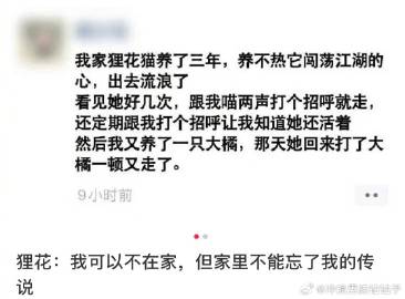 狸花:身在江湖心在家 ​