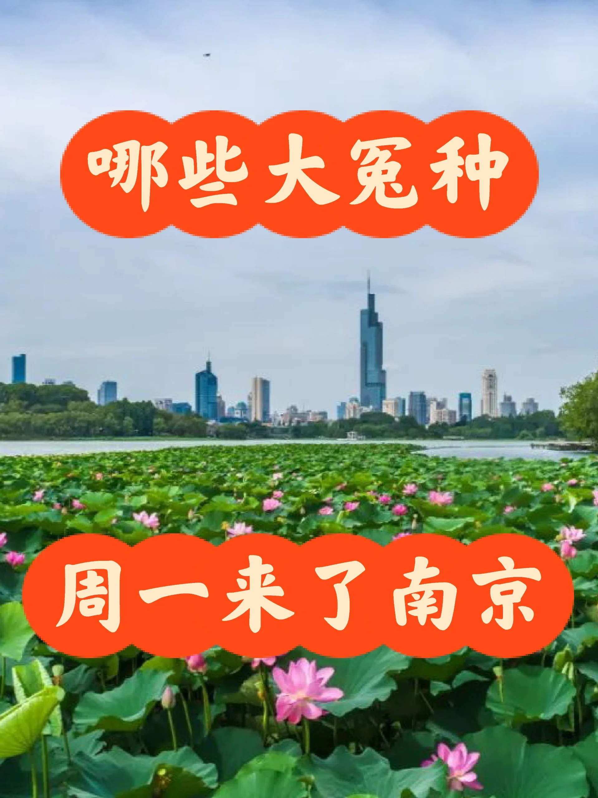 周一在南京的大冤种们～