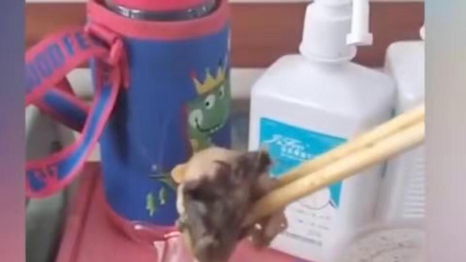 重庆医院食堂吃出老鼠头