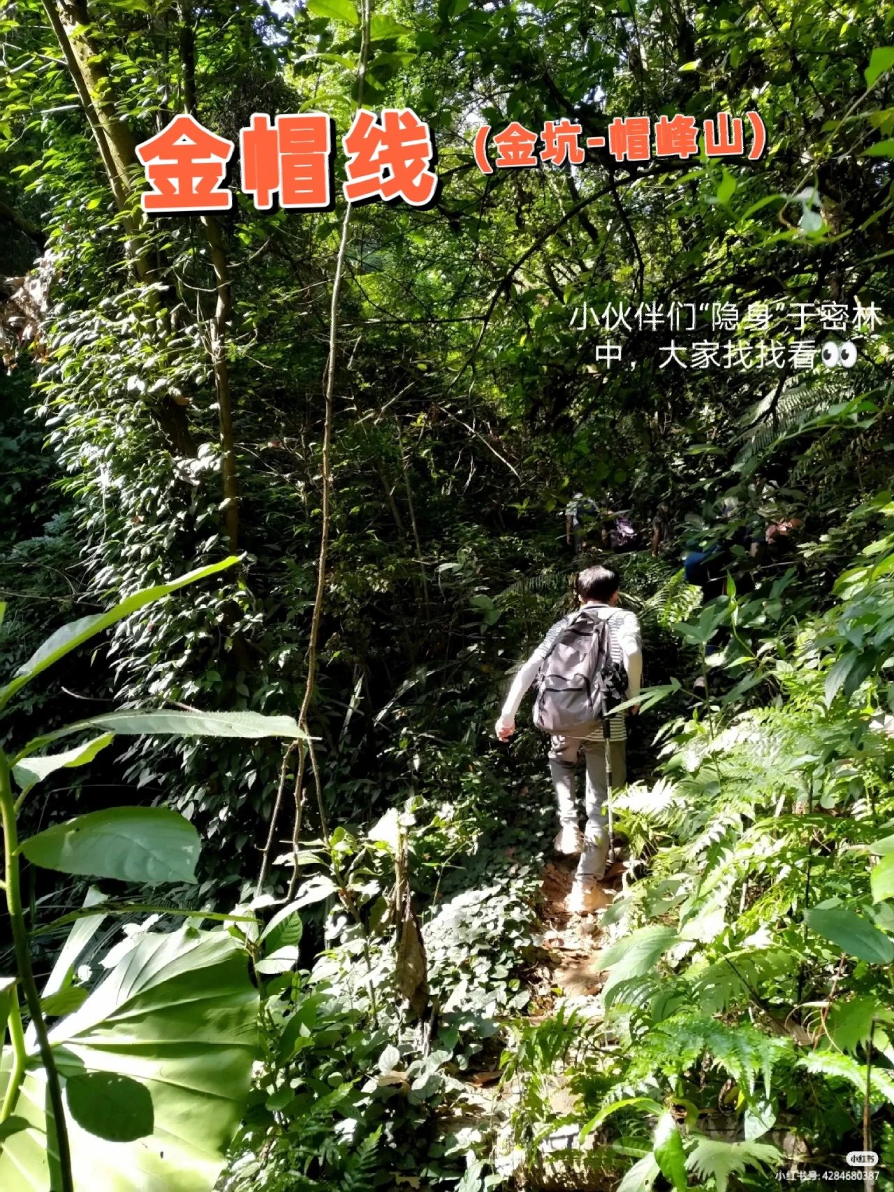 徒步踏秋去｜金帽线(金坑至帽峰山)