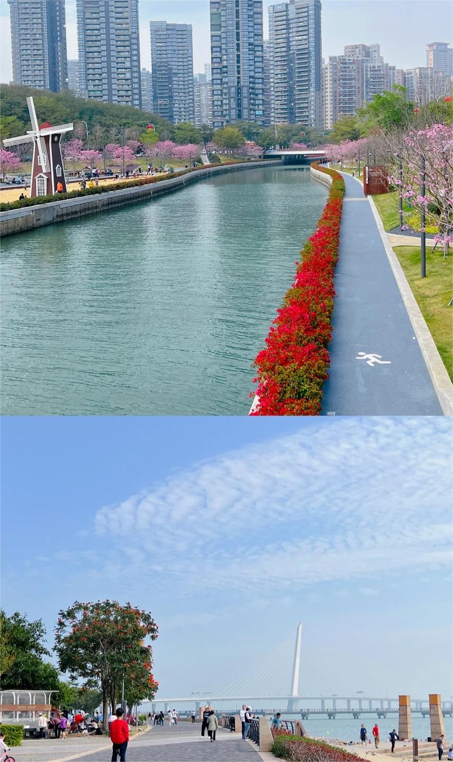 深圳遛娃|深圳湾公园运动公园，游乐场沙池