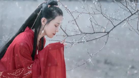 作为驯兽师，除了真正的那些丛林野兽，我更要征服的，是那些给予我无限苦难的“衣冠禽兽”......