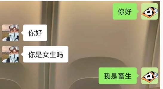 又来看相亲届的笑话了各位[来][来]