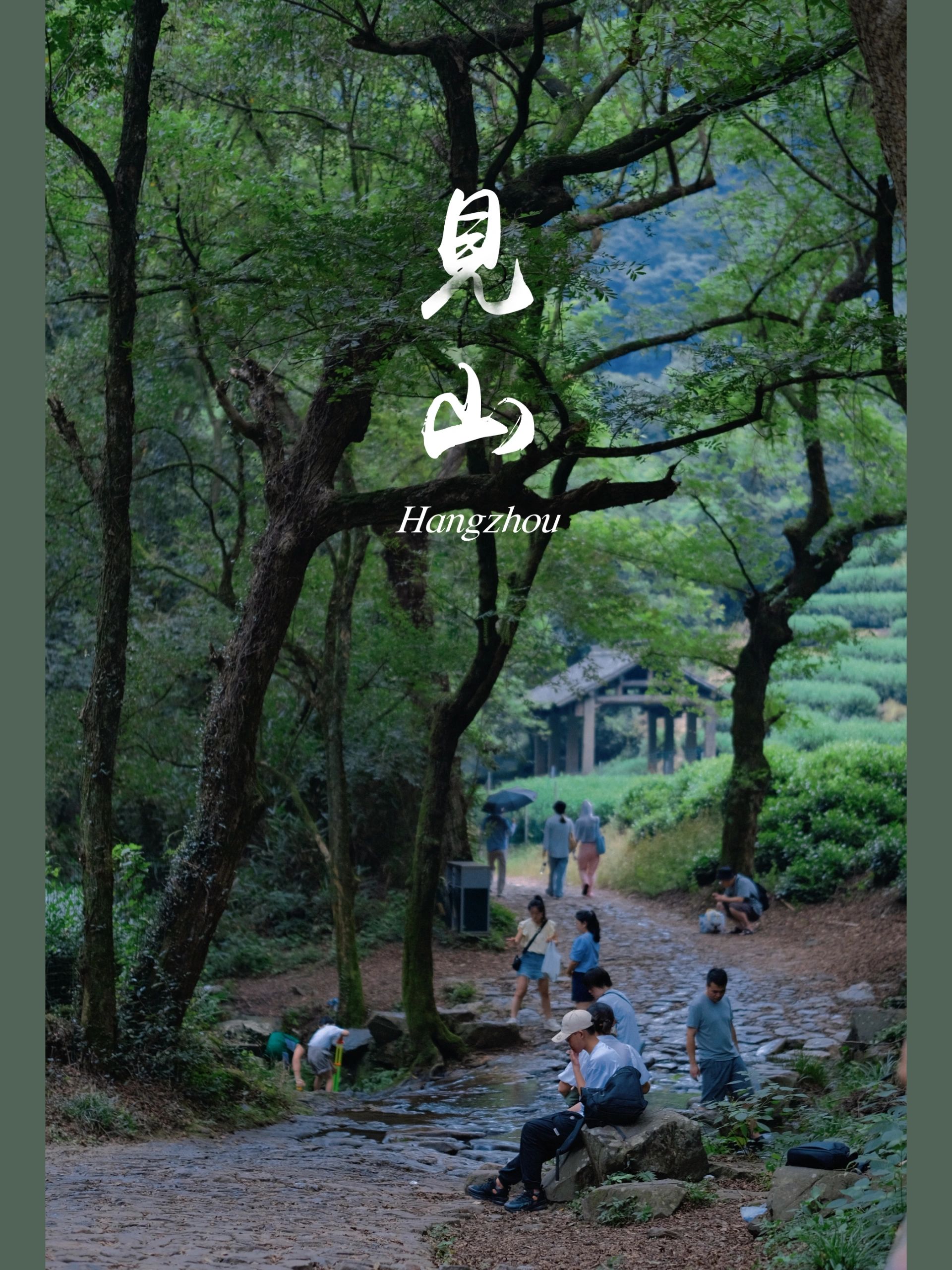 我们杭州人走几步就进入都市森林