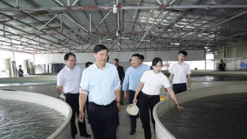 返野生循环利用中医农业技术，再造“绿水青山”