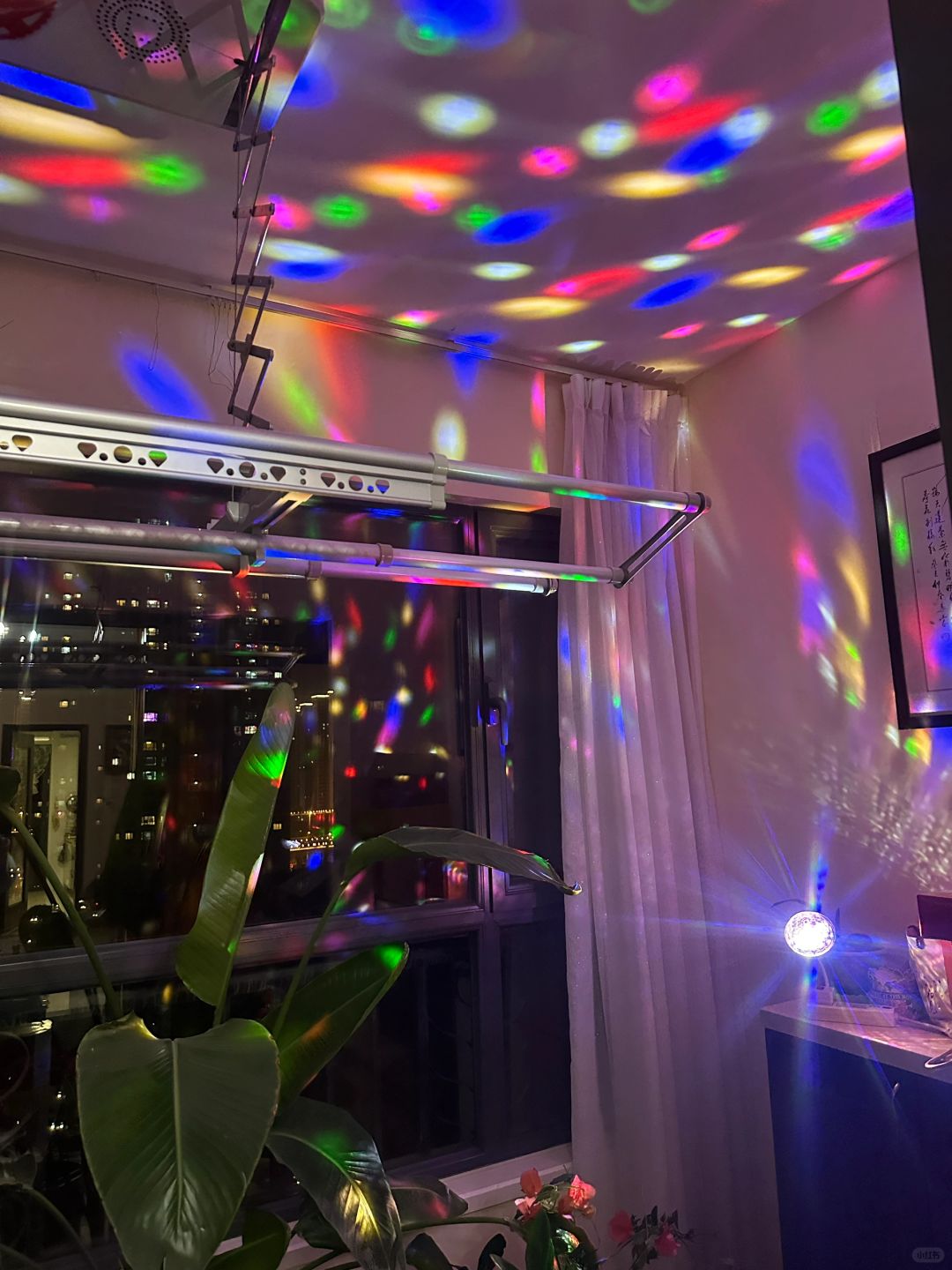 听说山西人过年 家里都有的一件东西😂
那就是彩灯💡
我一进家门 简直被我爸买