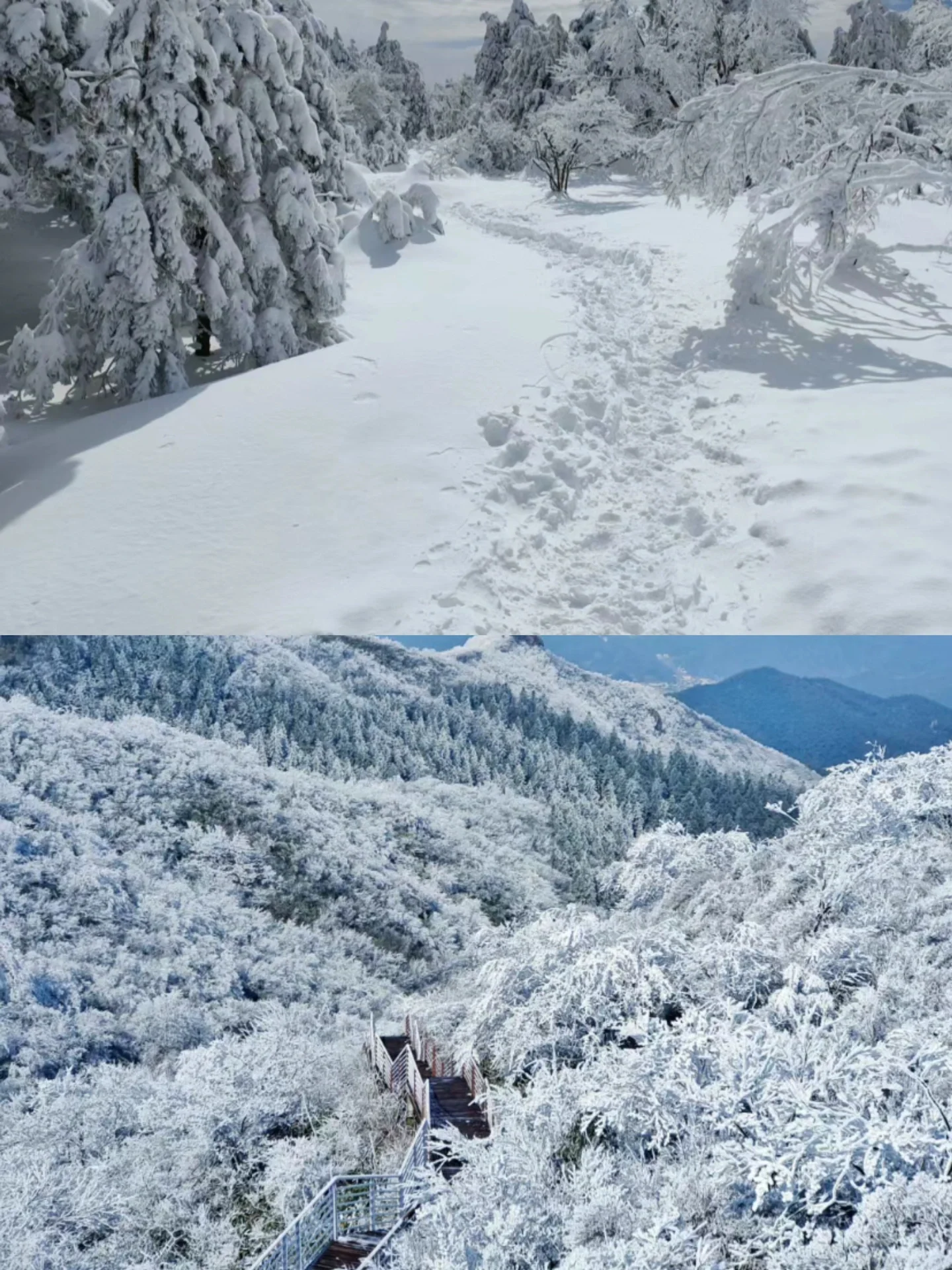 上班暂停‼️杭州周边赏雪攻略来啦 