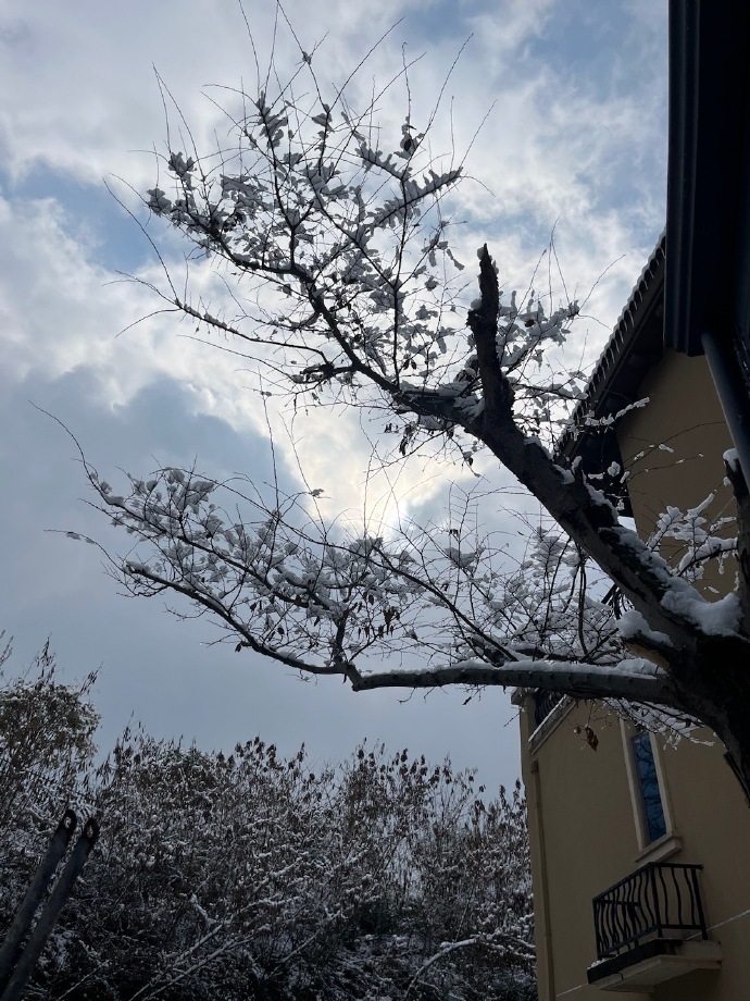 又到一年赏雪季 ​