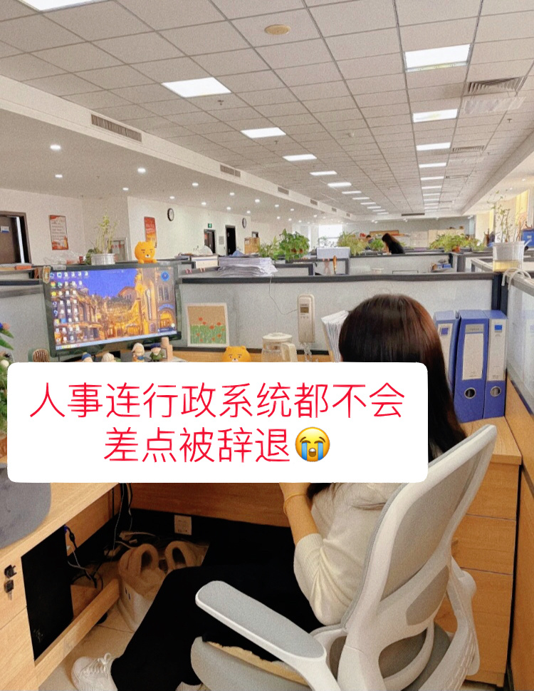 行政系统#企业管理系统#