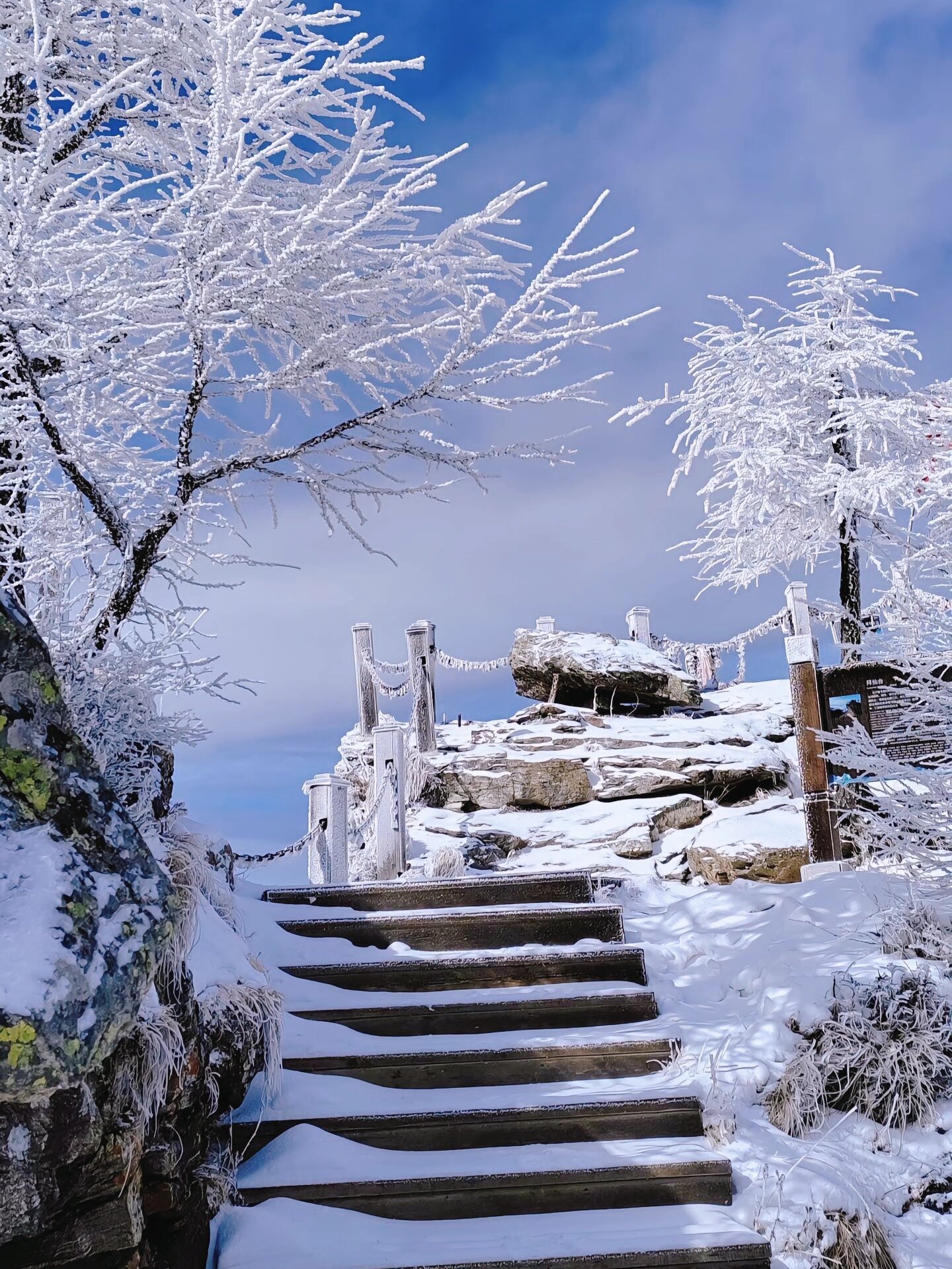 救命！是全西安人都去这里看雪了吗？