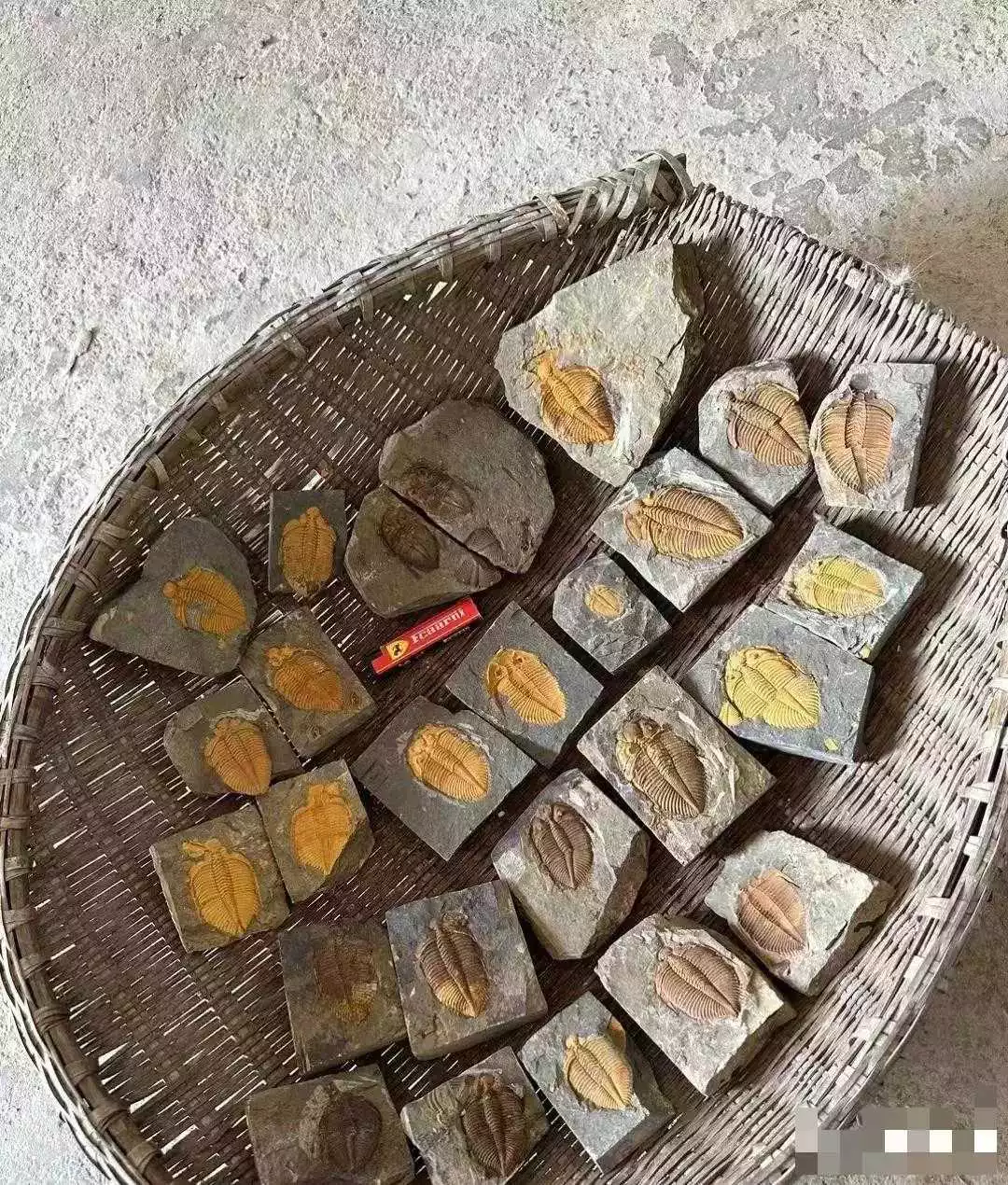 地里做农活捡的，准备换个什么车？