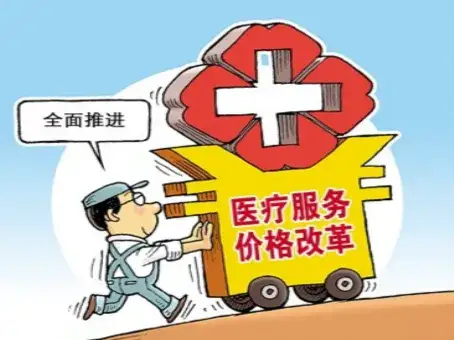 最近，有专家建议“取消医疗服务政府定价，促进医疗市场竞争”。个人认为此法不可行，
