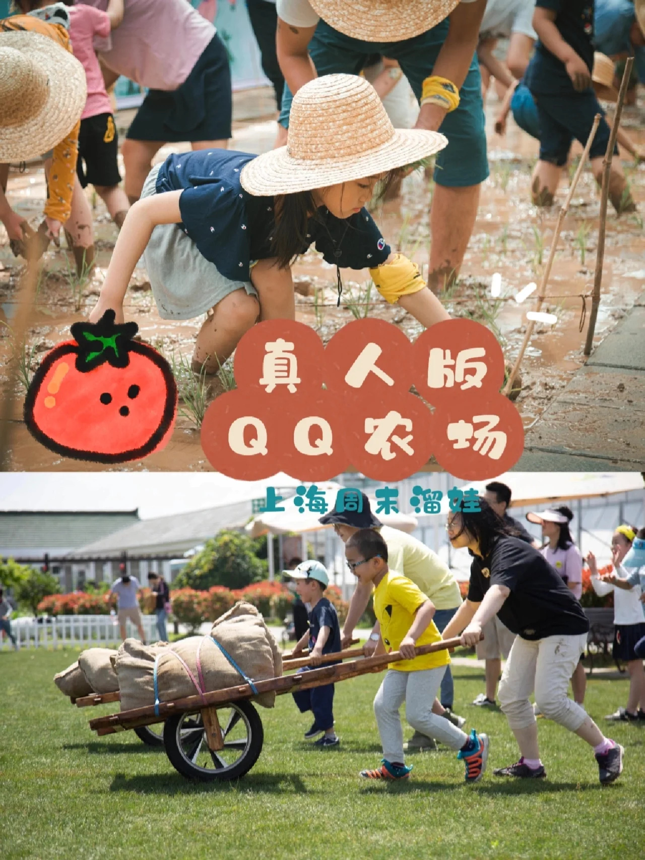 周末溜娃|真人版QQ农场❓