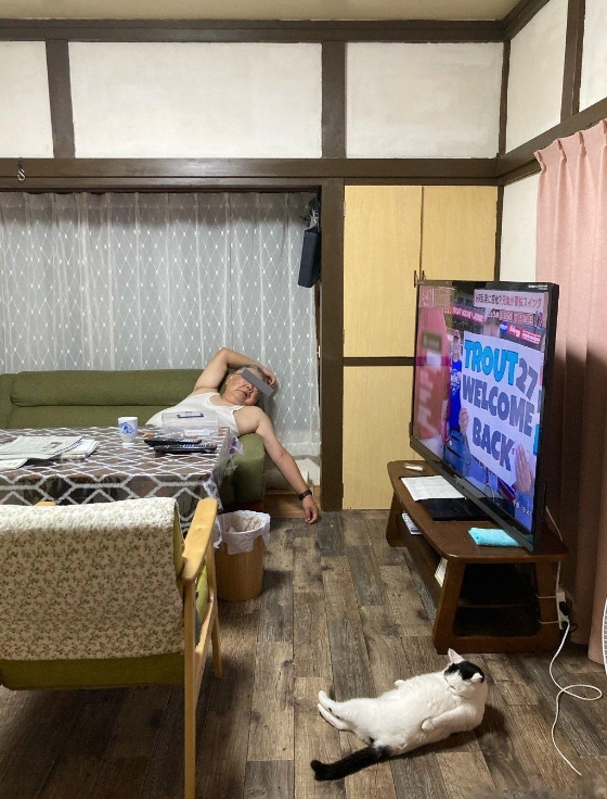 这就是家里的生活