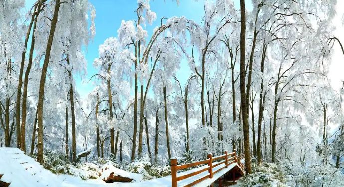 四川文旅开始狂飙
冬日看雪，请来四川光雾山旅游景区

近期，南国冰雪奇景终于揭开