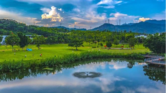 战后和平与重建的希望之光，或许就是它