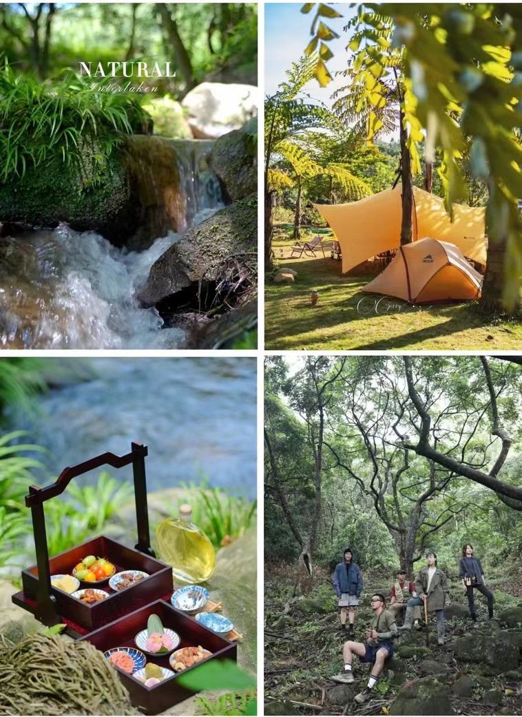 🌴距广深1-1.5h的森林营地