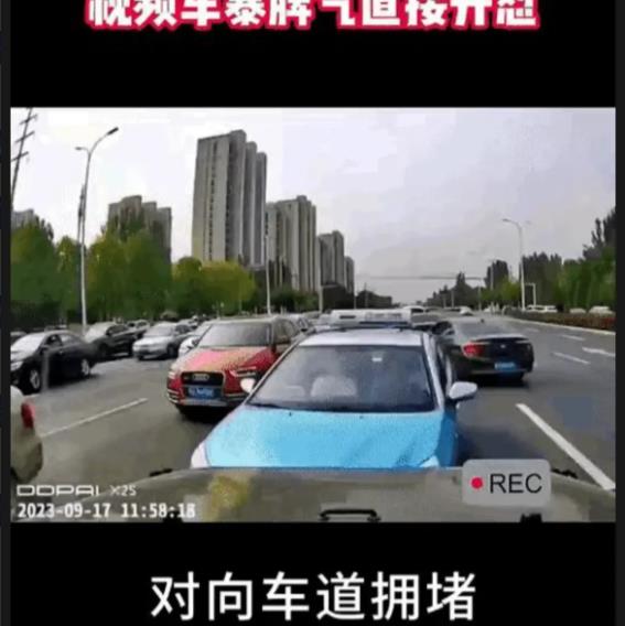 “大快人心！”下班高峰期，一出租车逆行在双实线掉头。尽管出租车有错在先，可就在快