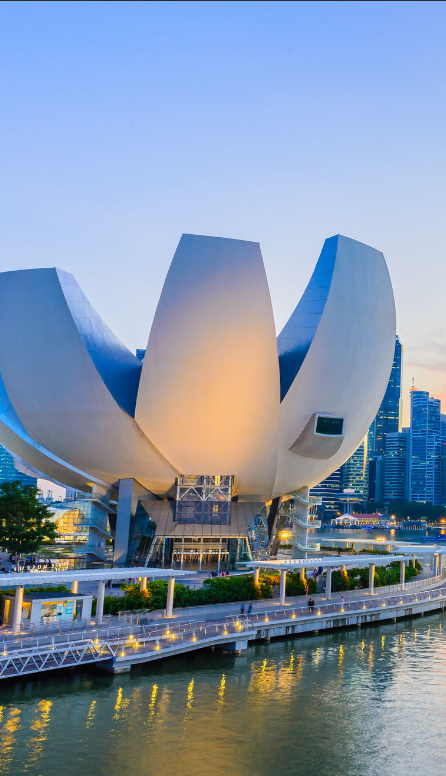 5个国家61天，这个暑假老母亲玩得很开心