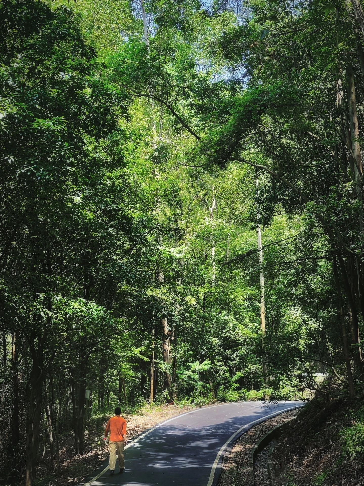 滴水岩森林公园，藏在广州市区的轻徒步路线