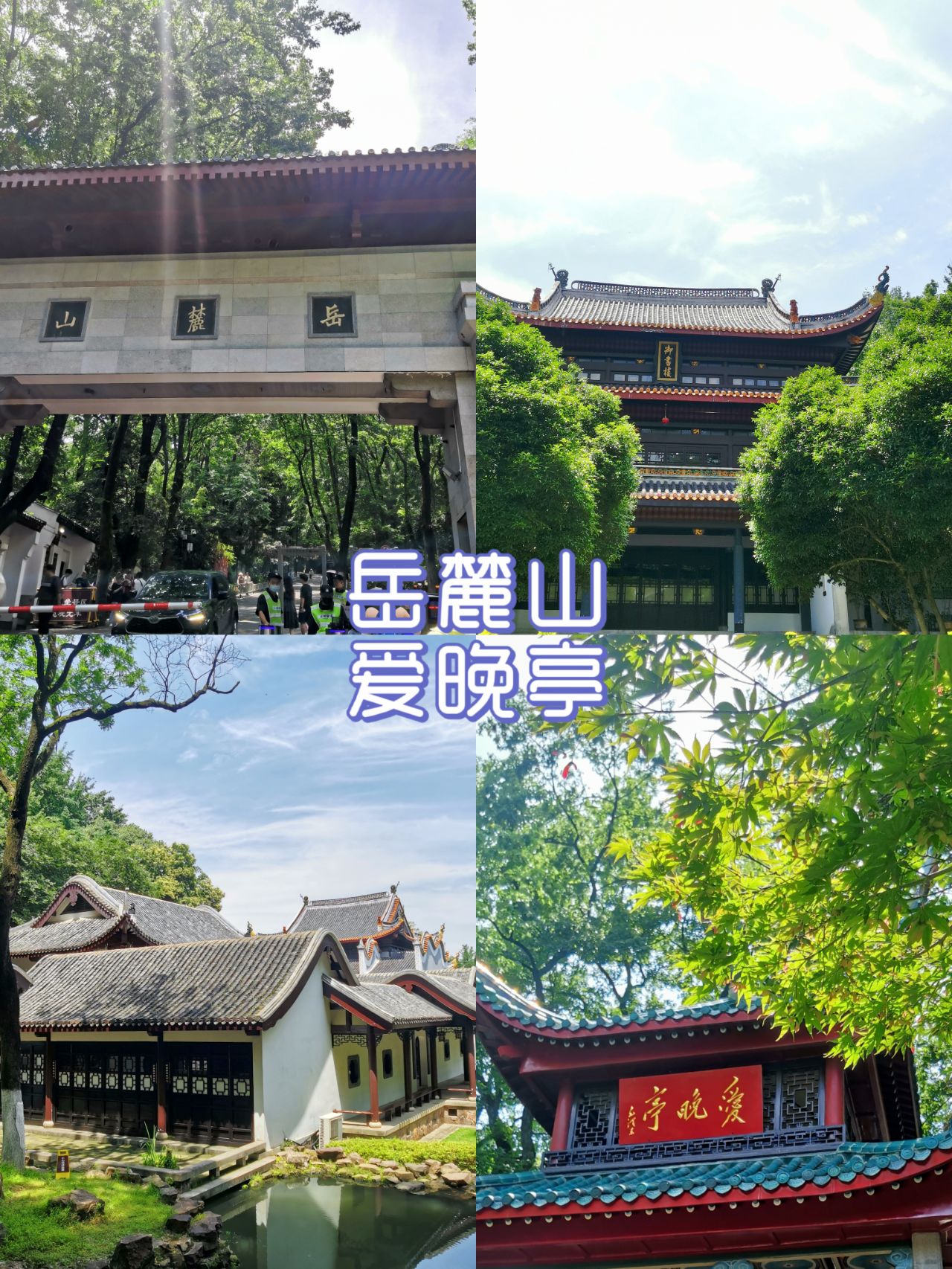 【岳麓山 爱晚亭】最省心最快捷路线！！
