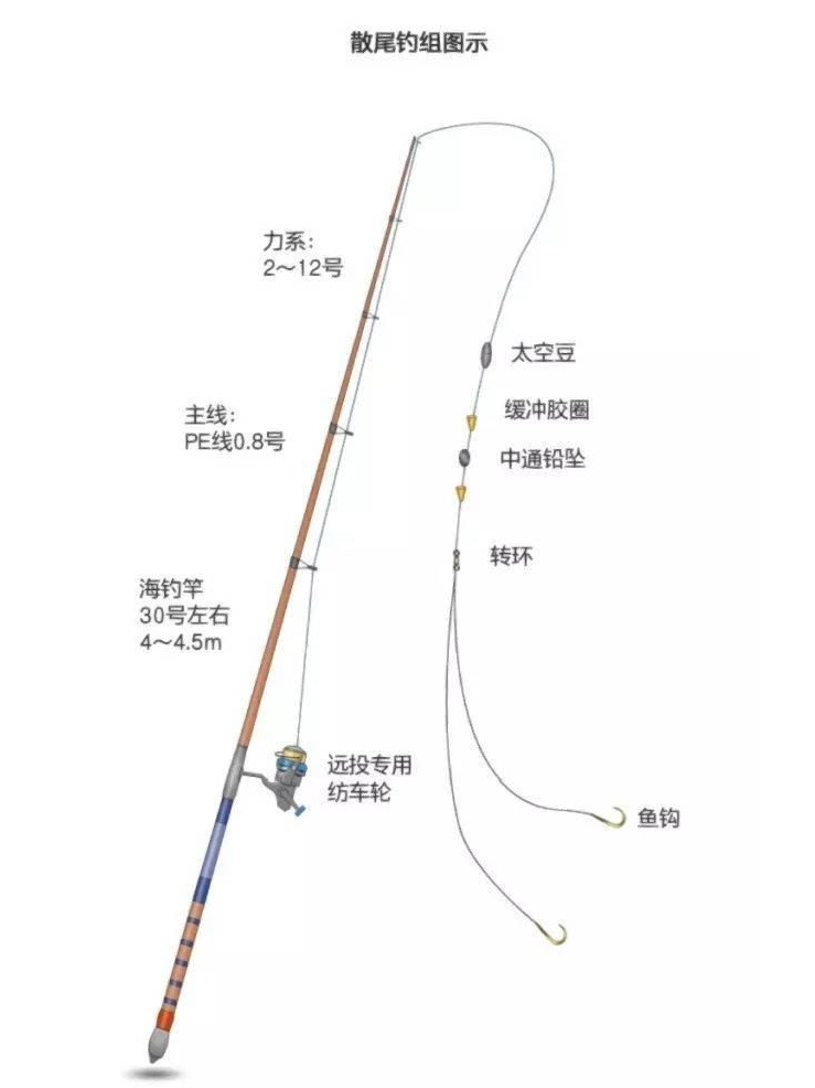 我的钓鱼日记｜最简单钓组分享