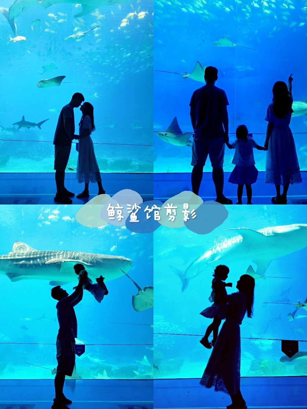 长隆海洋王国|最新隐藏闪卡位置保姆级攻略