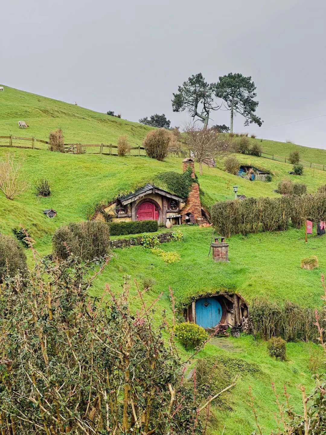 新西兰旅游|奥克兰停留一天的行程安排