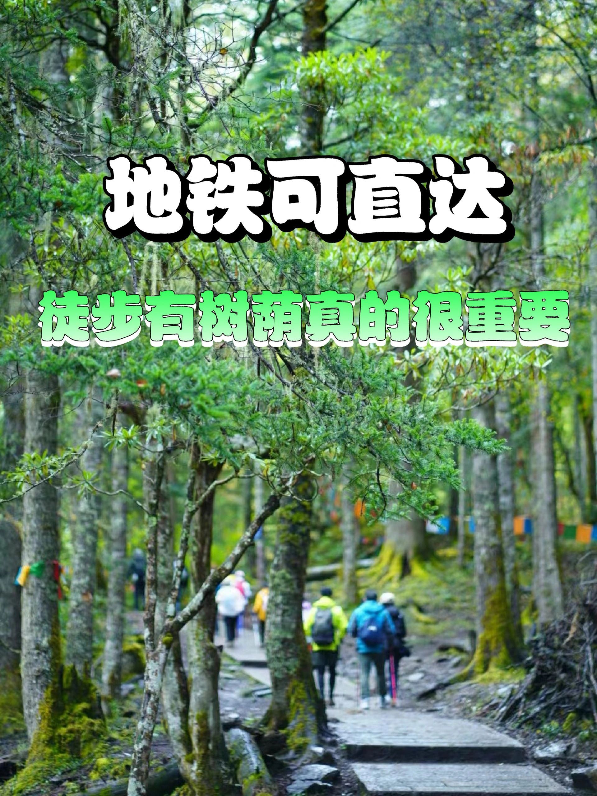 码住🐴地铁直达✅推荐有市内树荫徒步路线