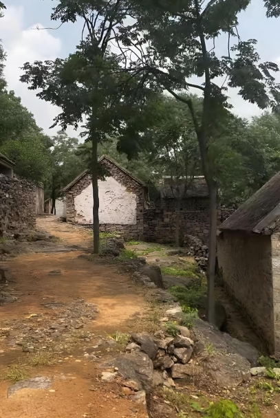 以前常见的风景，怎么现在就见不到了