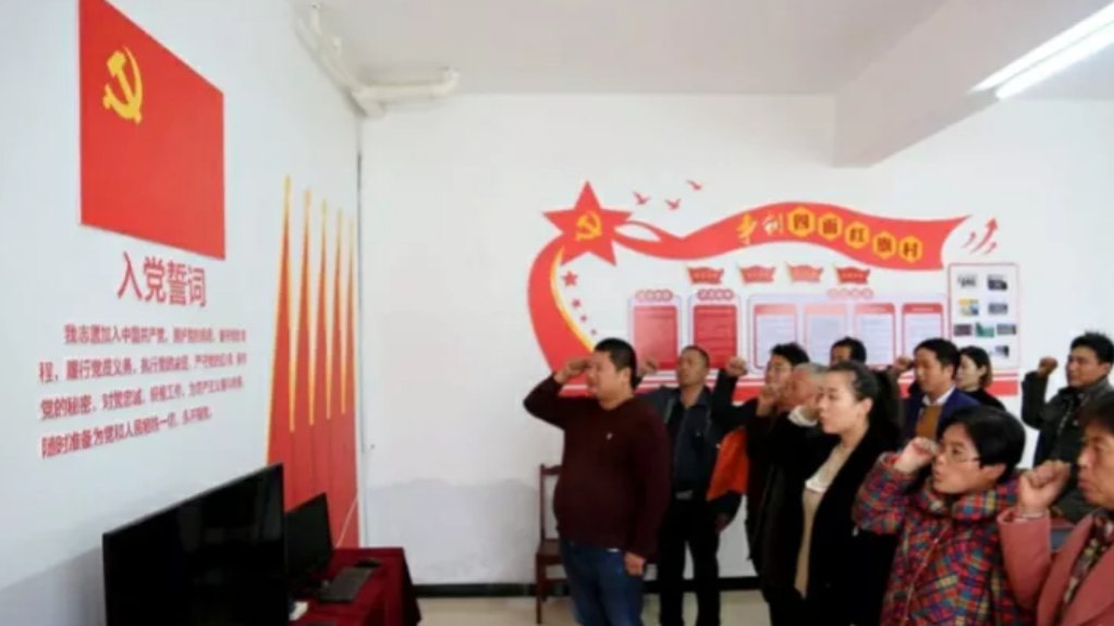 这次，发展的党员，是俺们村里，一个村支部委员的孩子。
村书记说了，只要是年满18