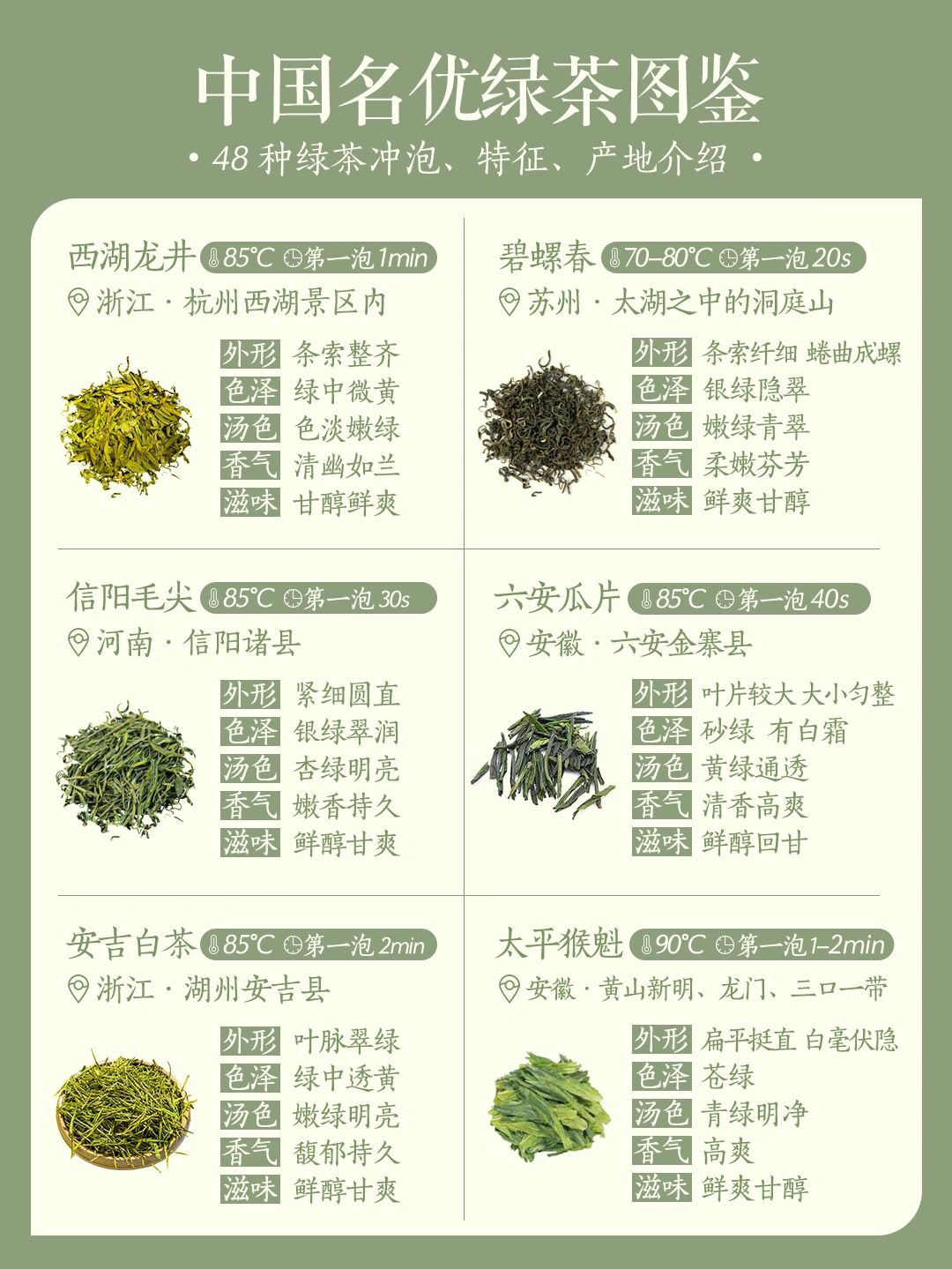 绿茶图鉴#绿茶有哪些品种#
