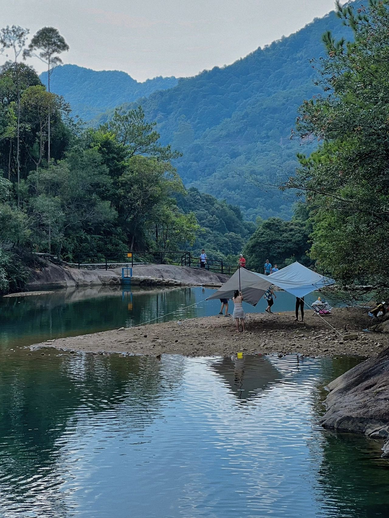 广州周边｜露营溯溪好地方，可以带狗狗哦